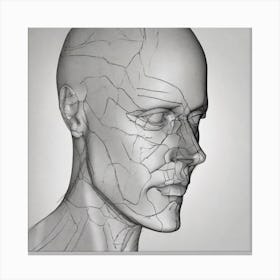 Anatomy Of The Human Face Canvas Print