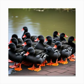 Bandada De Patos Negros Canvas Print