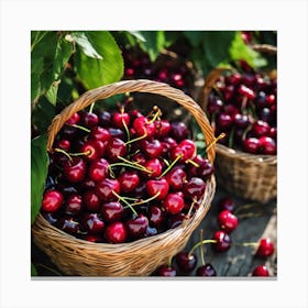 Cherry Baskets In The Garden Canvas Print