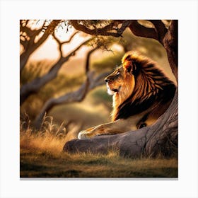 Lion In The Forest 66 Canvas Print