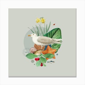 Flora & Fauna with Gull 1 Canvas Print