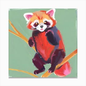 Red Panda 05 Canvas Print