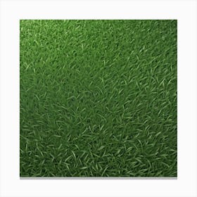 Green Grass Background Canvas Print