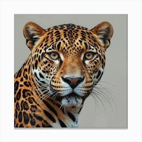 Jaguar 1 Canvas Print