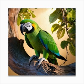 Parrot Perched On A Branch 2 Canvas Print