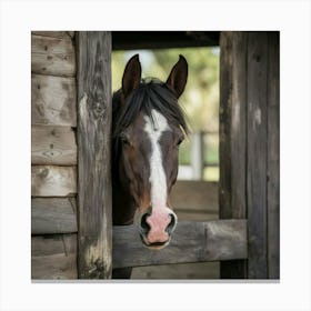 Peeking Horse Art Illustration Photo Xtdpfbwqqysfycc2dwrnjq 0pxpn0swroutzqg Zbig7a Canvas Print