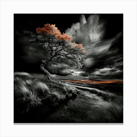 Echoes of Reverie Canvas Print