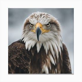 A Close Up Of A Majestic Eagle, Capturing Its Intense Gaze And Powerful Presence Canvas Print