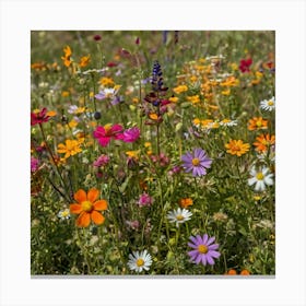 Wildflowers In The Meadow Paintings Art Print Canvas Print