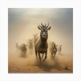 Herds Of Deer Canvas Print