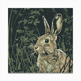 Rabbit In The Grass Canvas Print