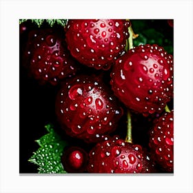 Red Berries Canvas Print