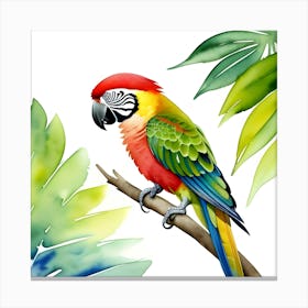 Watercolor Parrot On A Branch Canvas Print