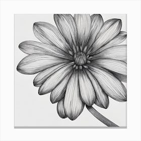 Gerbera Daisy Canvas Print