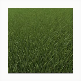 Grass Field 23 Canvas Print