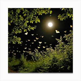 Butterflies In The Night Canvas Print