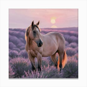 Sunset Horse 58 Canvas Print