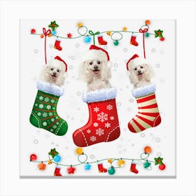 Poodle Christmas Socks Funny Xmas Pajama Dog Lover Canvas Print