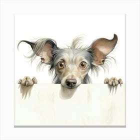 Chihuahua 13 Canvas Print