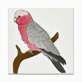 Cockatoo Canvas Print