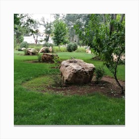 Rock Garden Canvas Print