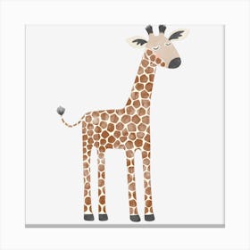 Baby Giraffe Canvas Print