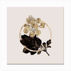 Gold Ring Oakleaf Hydrangea Glitter Botanical Illustration n.0303 Canvas Print