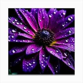 Purple Flower With Water Droplets 4 Canvas Print