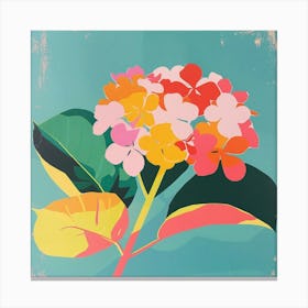 Hydrangea Square Flower Illustration Canvas Print