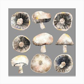 Mushrooms Canvas Print