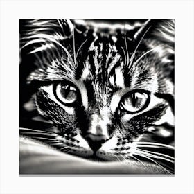 Black And White Cat 9 Canvas Print