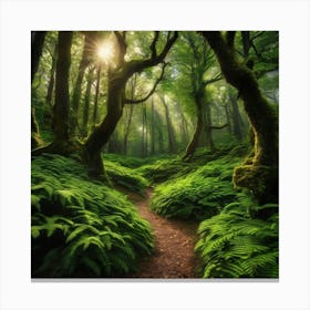 Enchanted Forest Canvas Print