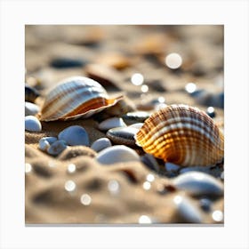 Shells On The Beach Canvas Print