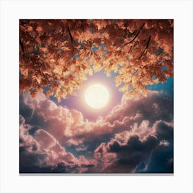 Moon In The Sky 2 Canvas Print