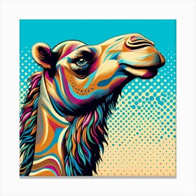 Camel 6 Canvas Print