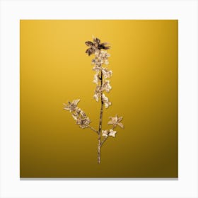 Gold Botanical February Daphne Flowers on Mango Yellow n.3740 Canvas Print