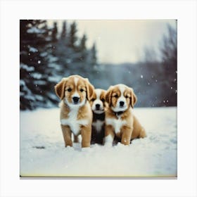 dogs in the snow Canvas Print
