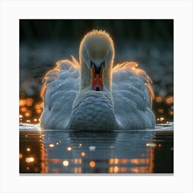 Sunrise Swan 1 Canvas Print