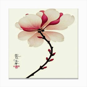 Magnolia Flower Canvas Print