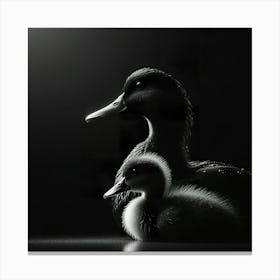 Ducks In The Dark Canvas Print