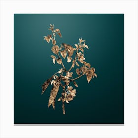 Gold Botanical Judas Tree on Dark Teal n.4688 Canvas Print