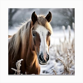 Horse Hair Pony Animal Mane Head Canino Isolated Pasture Beauty Fauna Season Farm Photo (3) Canvas Print
