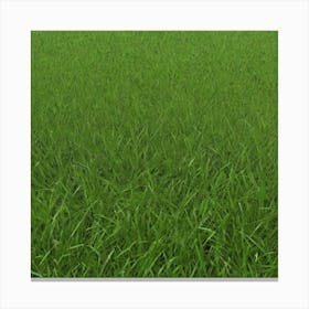 Green Grass 54 Canvas Print