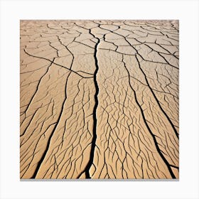 Cracks In The Sand Canvas Print