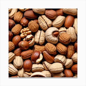 Nuts And Seeds 4 Canvas Print