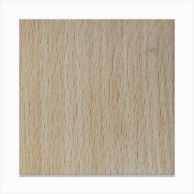 Textured Wooden Plank With A Light Brown Color. Canvas Print
