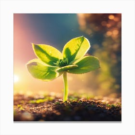 Small Green Plant Canvas Print