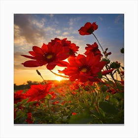 Sunset With Red Flowers Canvas Print