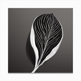 A Minimal Plant Leaf Black 5 Canvas Print