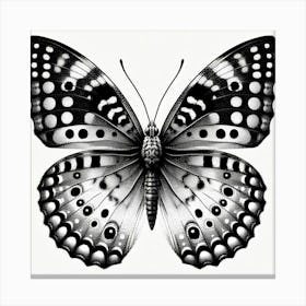 Butterfly In Black And White Canvas Print